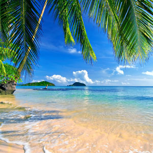 tropical beach